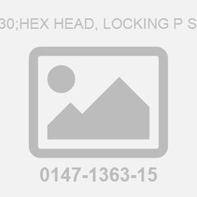 M10X 30;Hex Head, Locking P Screw